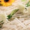 100 buc Cu capace de silicon Vaze florale pentru aranjamente florale Mini vaze de flori Acasă Tuburi de plastic pentru apă pentru flori Reutilizabile