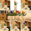 Cute And Playful Tulip Succulent Plush For All Ages Great For Gifts And Nap Time