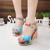 Maogu Summer Platform Wedges Heel Casual Shoes Woman Floral Super High Heels Sandalias Zapatos Mujer 2024 Women Open Toe Sandals