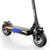 40km/h Urban Electric Scooter with APP Control, 800W Motor, 48V10Ah Battery, Full Suspension, Disc Brakes, 10" Off-Road Tires Folding E-Scooter