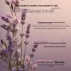 Dandong Lavender Moisturizing and Fragrant Body Wash