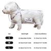 Transpicuous Recyclable Dog Rainwear With Easy Snap Conclusion Generous For Active Animals In Wet Weather
