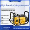 DSU High-Head Electric Self-Priming Pump for Agricultural Irrigation and Sewage/Slurry Management
