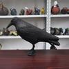 Outdoor Hunting Bait Standing Black Crow Garden Decoration Halloween Indoor Decoration Bird Repellent