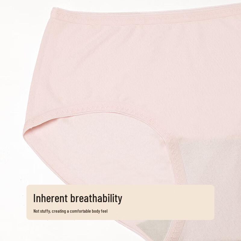 Regina Miracle Women's Cotton Blend Breathable Underwear - 3 Pack