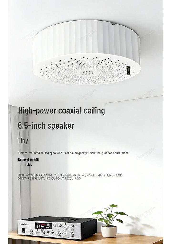 Wireless Indoor Ceiling Speaker with Wall-Mountable Hanging System