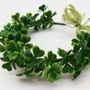 Clover Wreath Headwear, Decoration, Performance, Shooting Forest Green Plants, Lucky Grass, Photography Hair Accessories Props