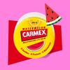 Baume à lèvres - CARMEX - Pot pastèque - SPF15 - Hydratant - Réparateur
