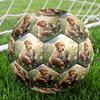 1pc Golden Retriever Tabby Cat Theme Soccer Ball Football, Size 5, Lightweight PVC, Durable Outdoor Training Soccer Ball, Gift m61471