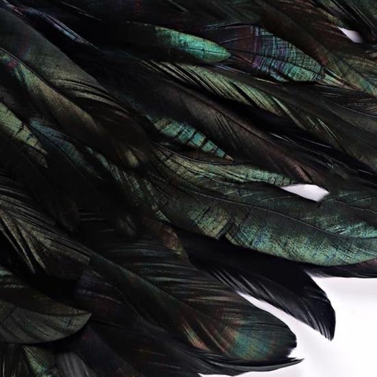 Women's Black Feather Shawl Cape Gothic Feather Shrug Poncho Collar Witch Cosplay Costume for Halloween Carnival