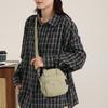 Niche casual texture small square bag 2025 autumn and winter new bag fashion trend women's shoulder messenger bag
