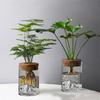 Thickened Flower Vase Glass Flower Pot Micro Landscape Bonsai Mountain Viewing Bottle  Home
