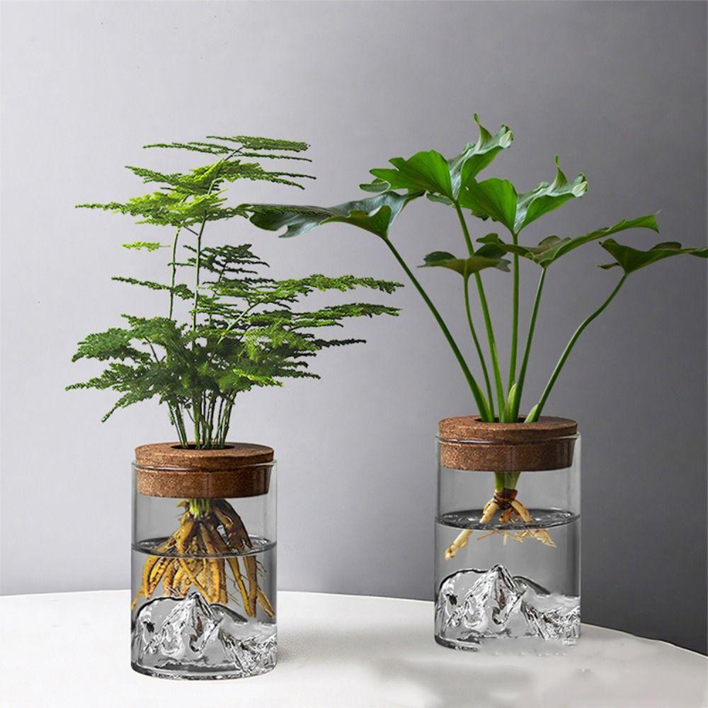 Thickened Flower Vase Glass Flower Pot Micro Landscape Bonsai Mountain Viewing Bottle Home