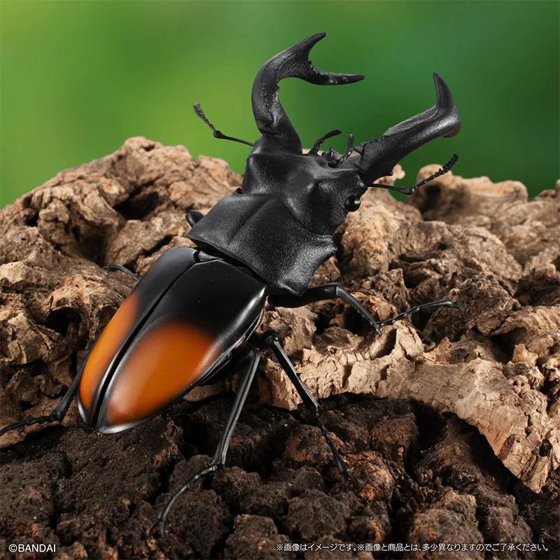 Genuine Gacha Scale Model Biological Cognitive Model Antler Beetle Simulated Moving Insect Action Figure Toys