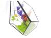 Geometric Glass Rhombus Greenhouse Ornament: European Wine Cabinet Micro Landscape & Preserved Flower Pot Craft