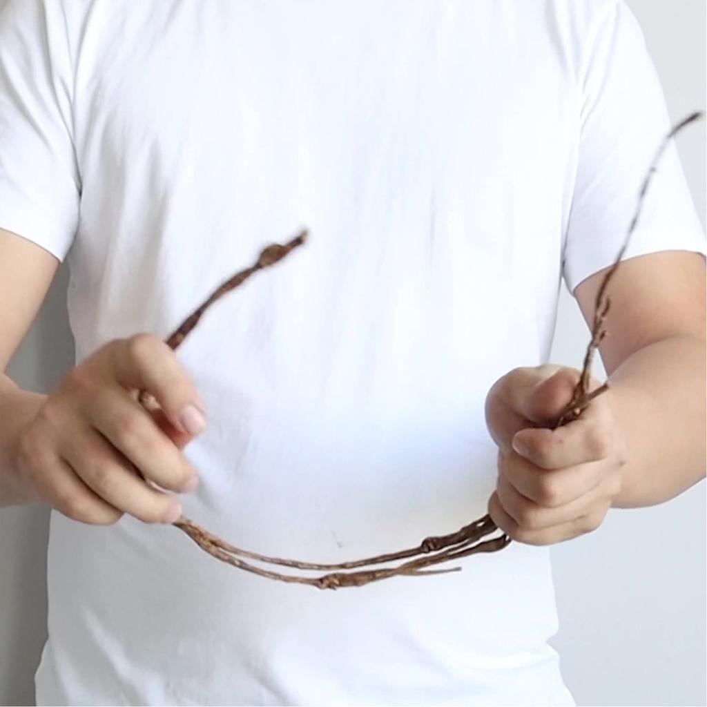 Sztuczne Suszone Gałązki Giętkie Symulacja Dekoracyjne Sztuczne Gałązki do Dekoracji Domu