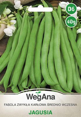 Haricots communs nains Jagusia 40g graines de haricots -