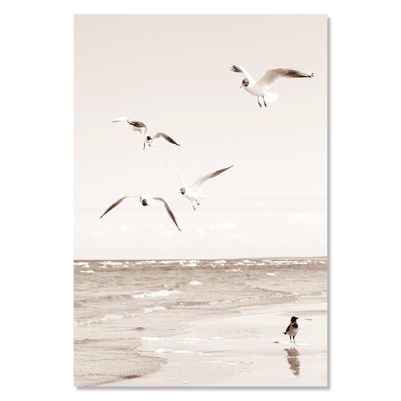 

Бежеві Пампаси Полотно Плакат Shell Reed Leaf Сучасне настінне мистецтво Принти Засушені квіти Друк картин Скандинавські плакати Декор вітальні 40x60cm No Framed