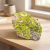 Artificial Moss Rock Lightweight Decor Weathered for Garden Decoration