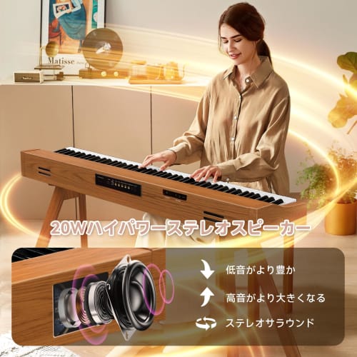 TERENCE Digital Piano, 88 Keys, Hammer Action Keyboard, 20W Dual Speakers, Wooden Stand, Integrated Keyboard, Touch-Response Keyboard, Audio/MIDI/Mic