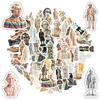 35-100pcs Historical Figure Stickers Teacher Reward Stickers Stationery School Supplies Decorative Luggage Laptop Cup Diary Book