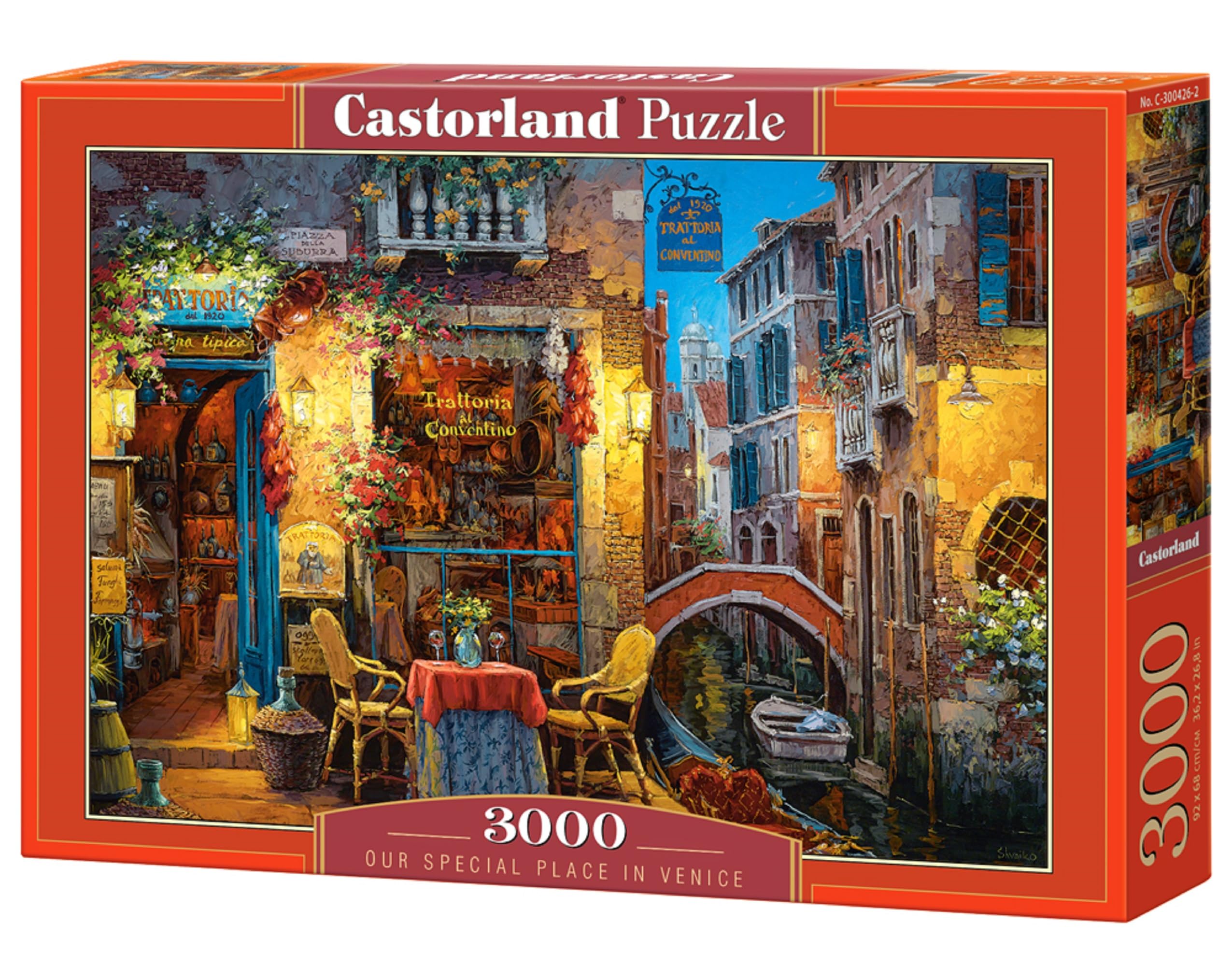 

Castorland C300426 our Special Place In Venice Jigsaw Puzzle (3000-piece)