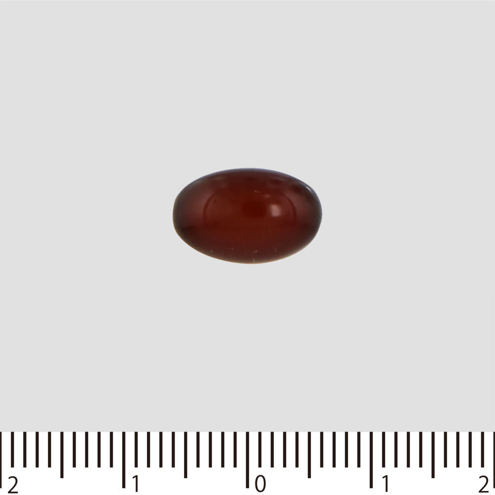 Fine GABA 60 capsules Diet Functional Claims Product Diet