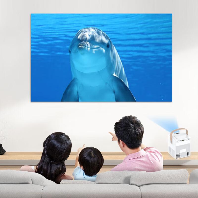 Salaxene Mini Smart Projector (CN Version)
