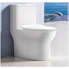 Wanxun Siphonic Toilet