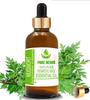 Pure Herbs Mugwort 100% Pure & Natural Artemisia Vulgaris Essential Oil UKZA 612
