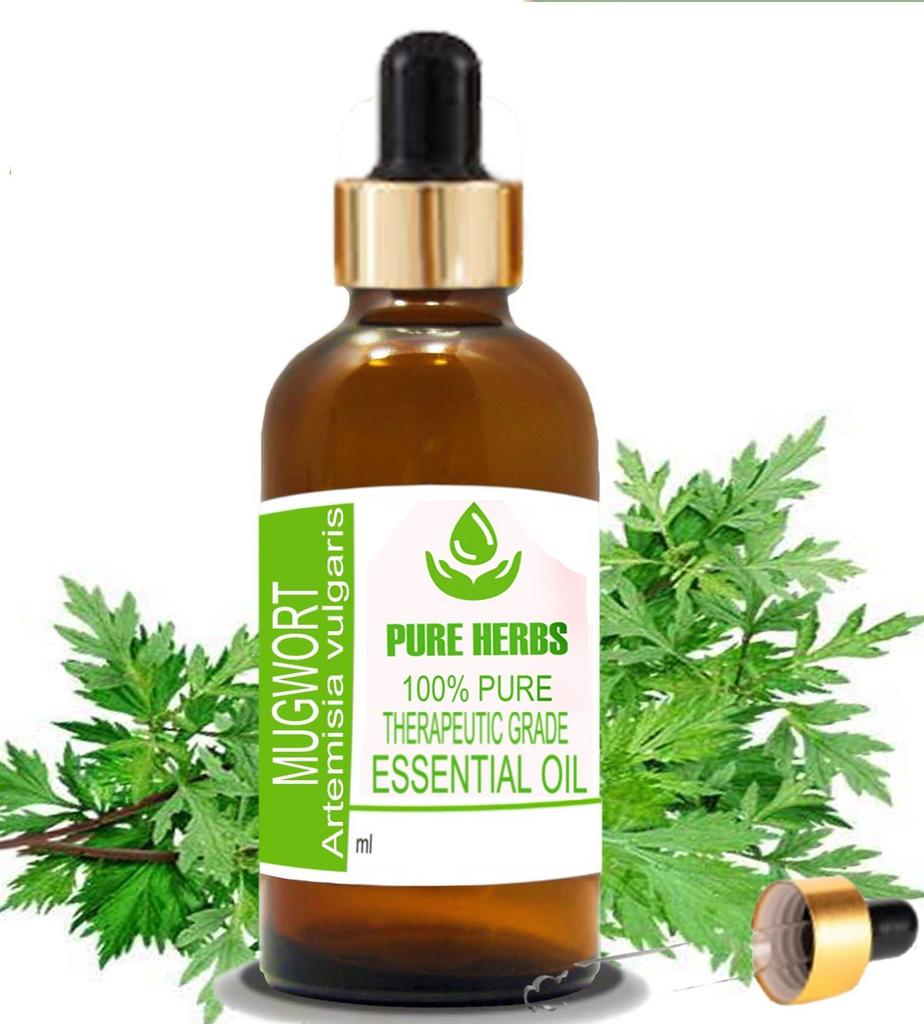 Pure Herbs Mugwort 100% Pure & Natural Artemisia Vulgaris Essential Oil UKZA 612