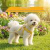 Lesă Câine Pisică: Lanț de plimbare pentru animale de companie Teddy Bichon, Golden Retriever, Mediu/Mic
