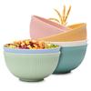 6 Stück Große Müslischalen Spülmaschinenfest BPA-Frei Lebensmittel Schalen Wiederverwendbar Reis Nudel Suppe Snack Salat Obst Schalen Küche
