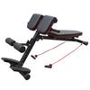 Ganas Multi-function Roman Hyperextension Training Chair