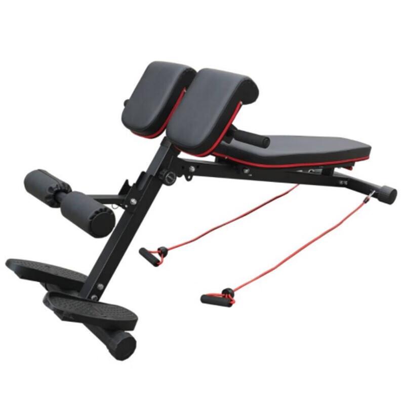 Ganas Multi-function Roman Hyperextension Training Chair
