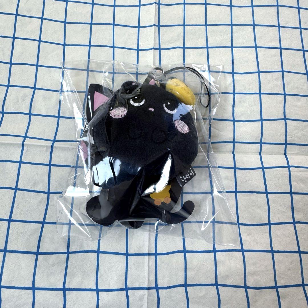 

[USED] RIIZE Soulcon MD Keyring Won Bin