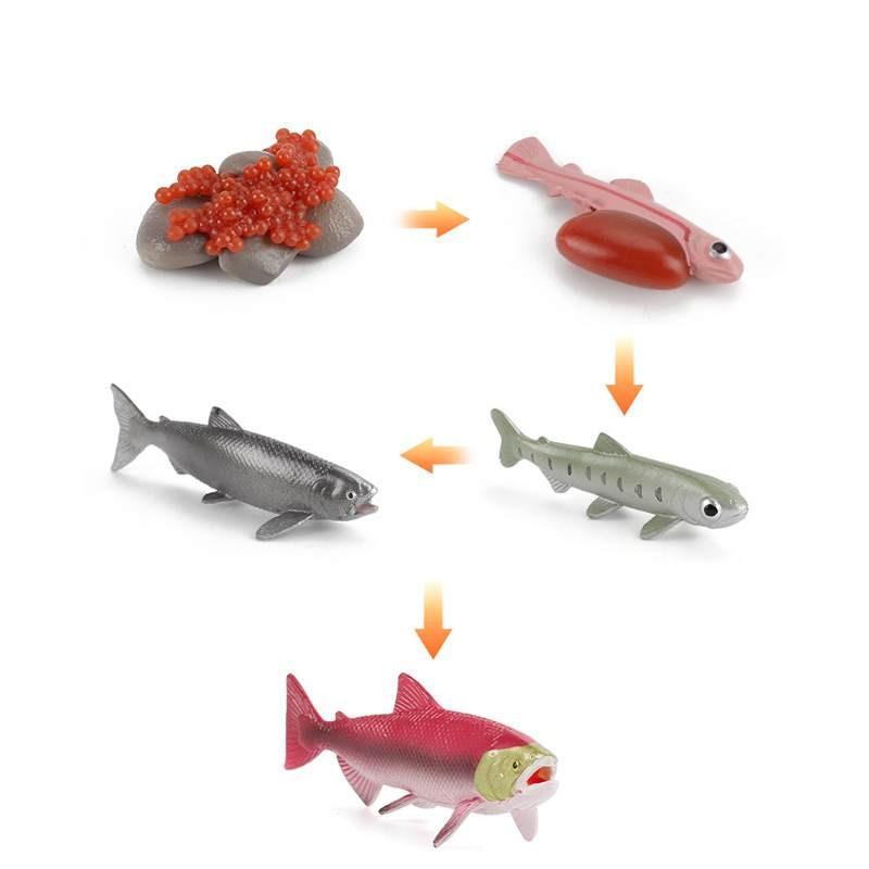 Animal Model Set Pvc Collectible Insect Bird Reptile Amphibian For Education And Display