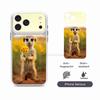 Cute Baby Meerkat Removable HD/Matte Full Coverage Films For iPhone 17 Pro Max 17 Pro