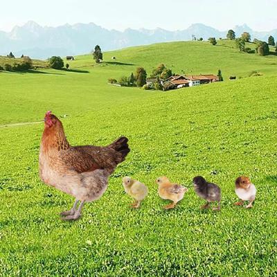 5 Pcs Set Animal Statue Stakes Yard Stake Hen Floor Decoration Figures Decorative Chicken Sculpture