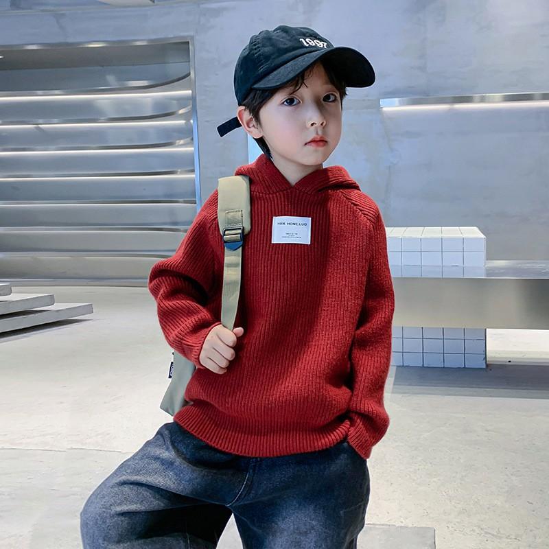 Boys Winter Hooded Sweater Kids Fashion Knit Pullover 110-170cm