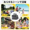 VUSIGN Large Capacity 30L Cooler Black Foldable Soft Cooler Box Insulated Cooler Bag Shoulder Strap Fishing Bag, Waterproof, Lightweight,