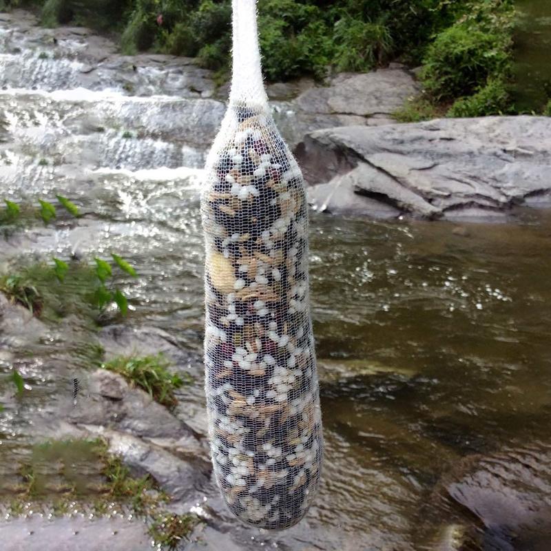5M Mesh Water-Soluble Fishing Nest 18/25/37/44Mm Environmental Carp Fishing Feeder Fishing Accessories