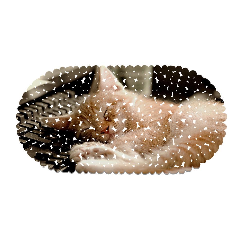 

Cat Cute Pet Picture Balcony Bathroom Mat Hydrophobic Non-Slip Door Mat Swimming Pool Public Places Non-Slip Floor Mat 35*70CM