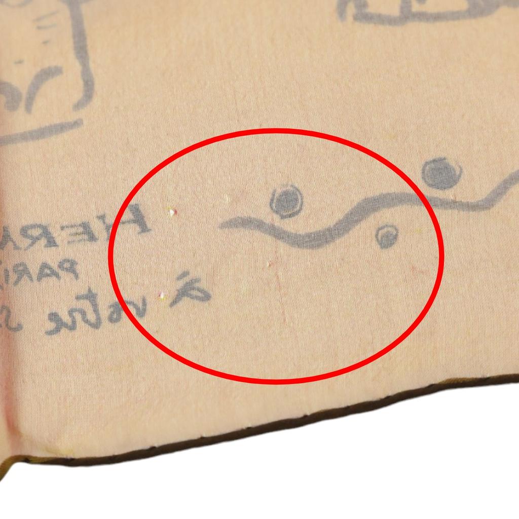 HERMES Elephant carrying luggage Carre40 scarf silk Orange Women Used