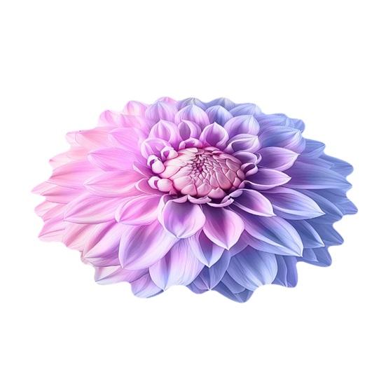 3D Flower Floor Mat Realistic Rose Lotus Area Rug Anti-Slip Decorative Flower Bathroom Rug for Living Room Bedroom Kitchen