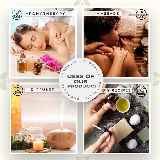 Carno Calm Exotic Essential Oil Combo | Pack of 3 | 100% Pure Cedarwood Oil, Peppermint Oil, Frankincense Oil | USDA-Approved for Aromatherapy