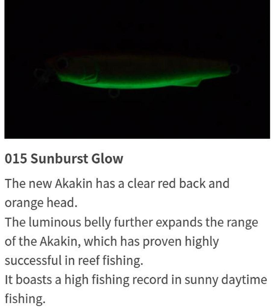 Maria Souther S75 15 Grams Sinking Lure 015 (4204)