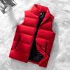 2025 vest men's jacket Korean version of the trend vest sleeveless thickened casual vest autumn and winter men's vest trend