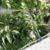 Garden Planter Set 3 pcs White 120 x 40 x 37.5 cm Plastic