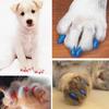 20 sztuk Pet Dog Cats Nail Caps Covers Kitten Control Akcesoria dla zwierząt domowych